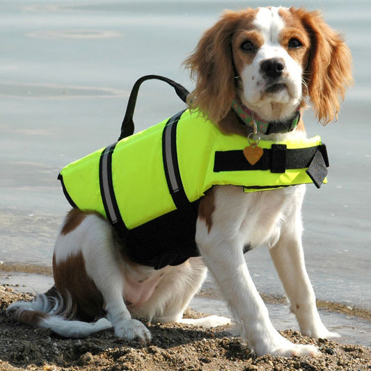 Chaleco salvavidas ajustable para perros